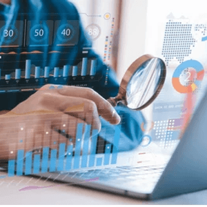 Fraud Investigation and Data Analysis